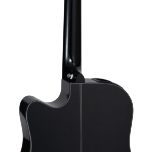 takamine-gd30ceb_2